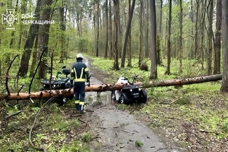 В Черкасах загинула жінка: через негоду дерево впало на квадроцикл